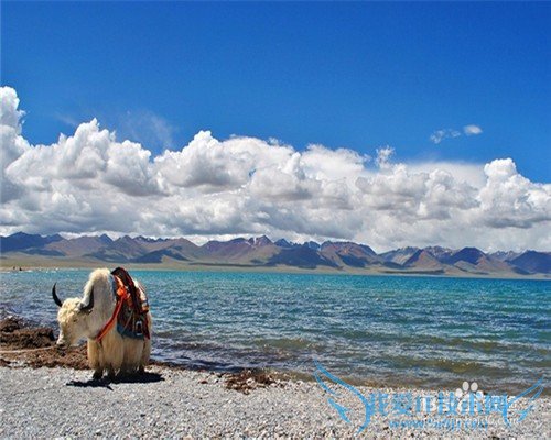 西藏旅游小结: 西藏旅游注意什么