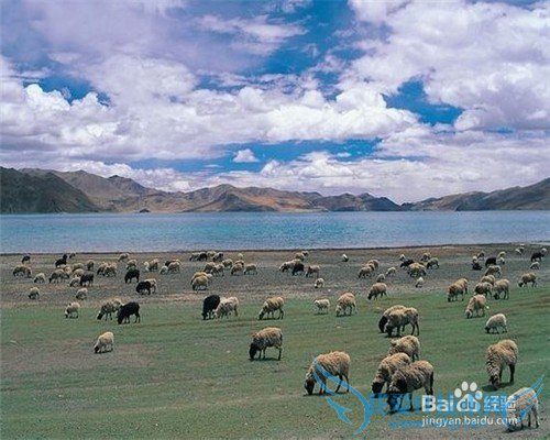 西藏旅游小结: 西藏旅游注意什么