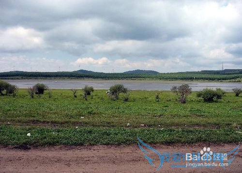 木兰围场坝上月亮湖旅游