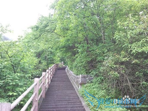 峨眉山旅游攻略之山上篇