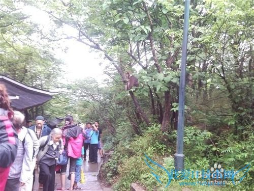 峨眉山旅游攻略之山上篇