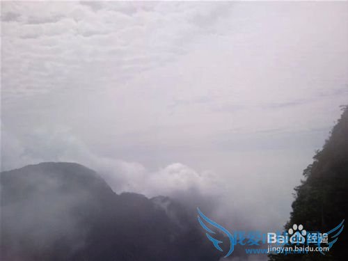 峨眉山旅游攻略之山上篇