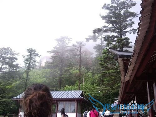 峨眉山旅游攻略之山上篇
