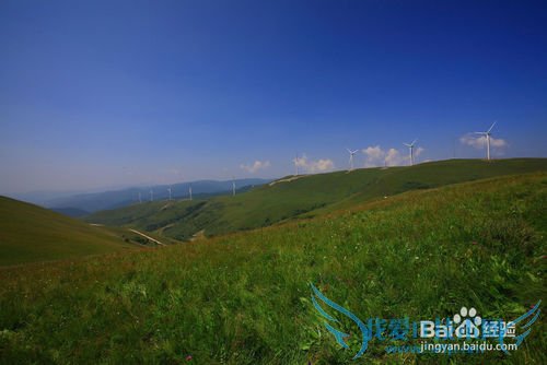 沁源花坡一日游