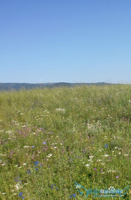 沁源花坡一日游