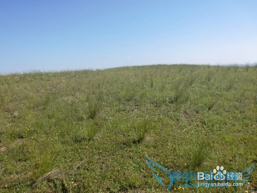 沁源花坡一日游