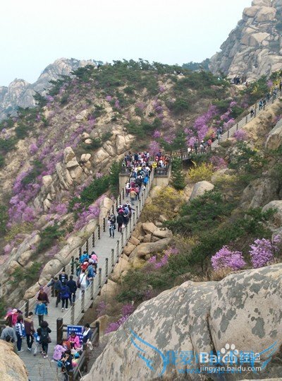 五一青岛旅游必备攻略