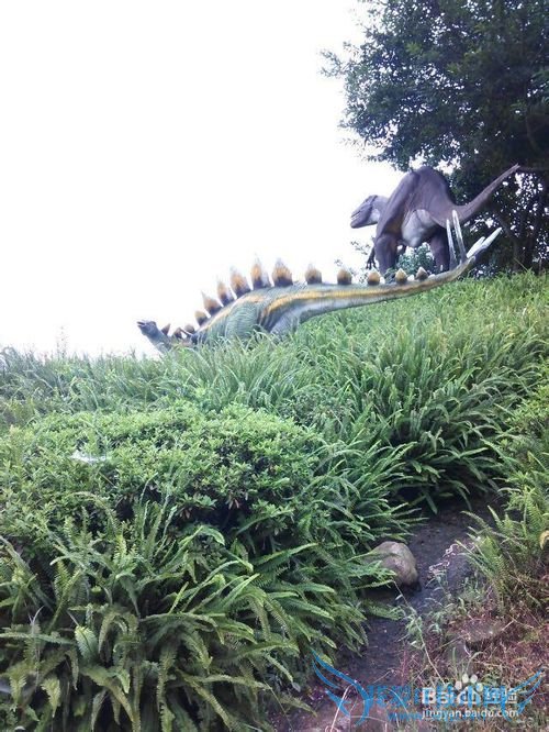 世界那么大,我想去看看之自贡【旅游攻略】