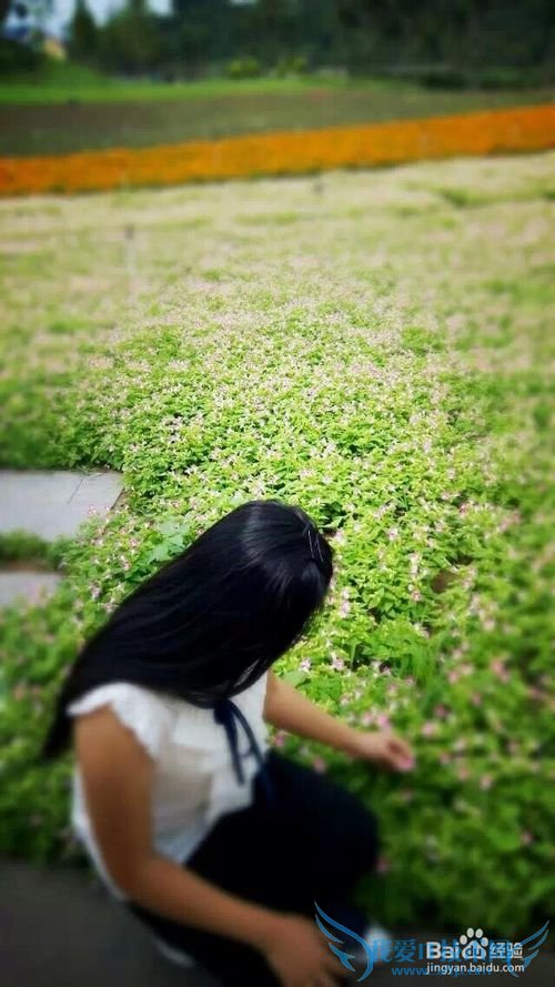 世界那么大,我想去看看之自贡【旅游攻略】