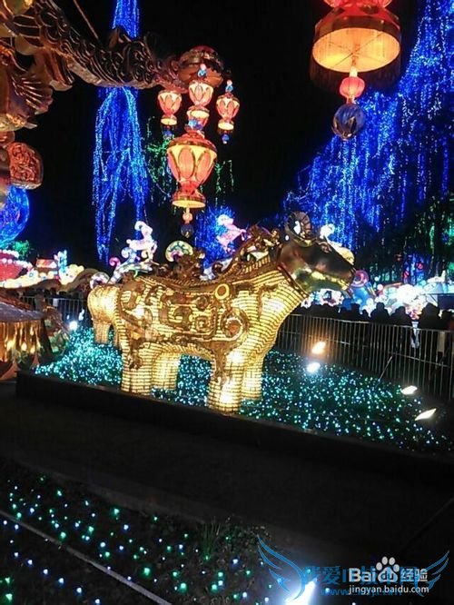 世界那么大,我想去看看之自贡【旅游攻略】