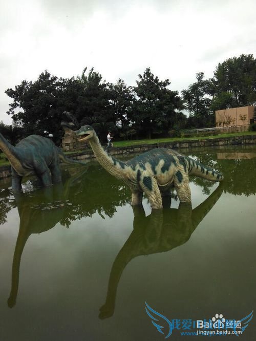 世界那么大,我想去看看之自贡【旅游攻略】