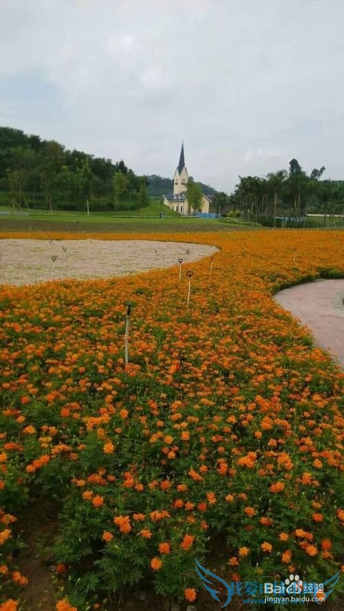 世界那么大,我想去看看之自贡【旅游攻略】