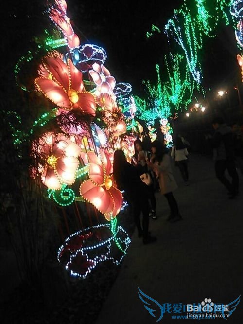 世界那么大,我想去看看之自贡【旅游攻略】