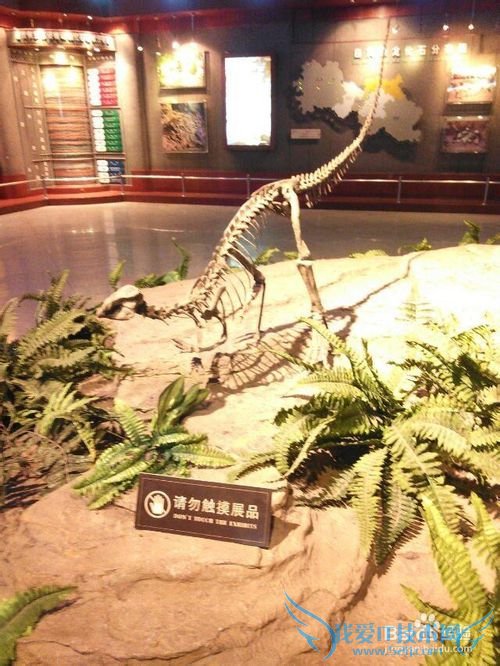 世界那么大,我想去看看之自贡【旅游攻略】