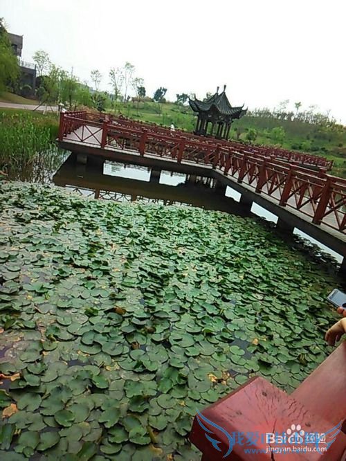 世界那么大,我想去看看之自贡【旅游攻略】