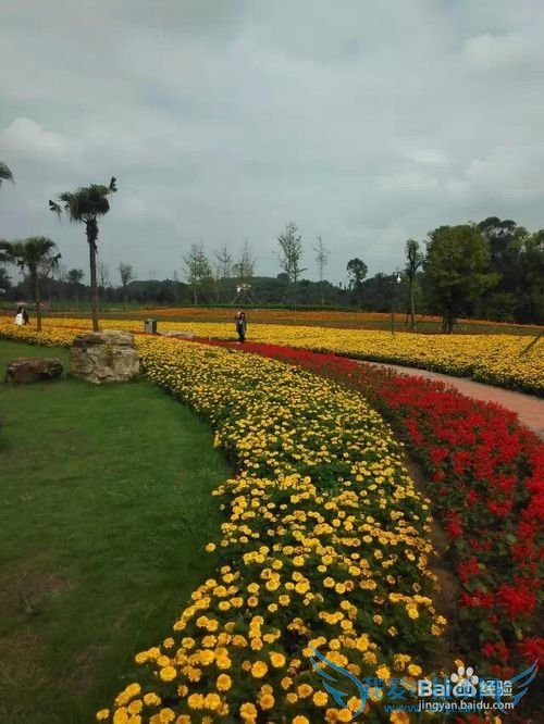 世界那么大,我想去看看之自贡【旅游攻略】