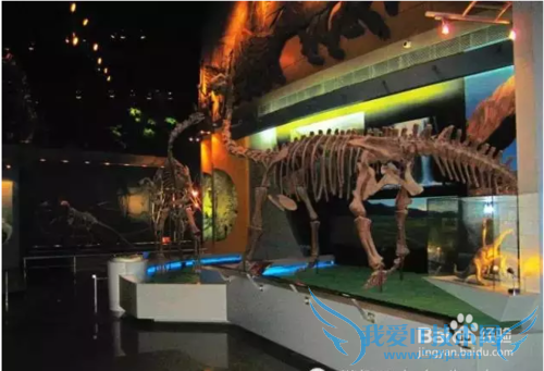 常州恐龙园旅游全攻略