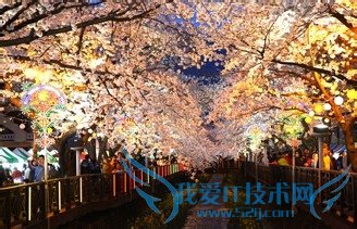 2015去韩国旅游:春天出境旅游必去景区路线介绍