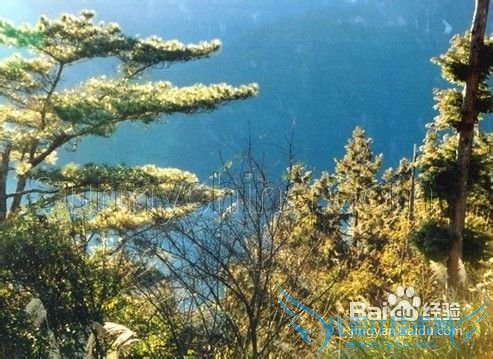 2012年台湾旅游价格