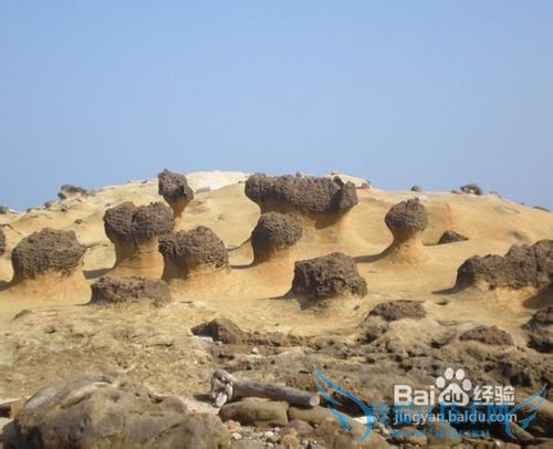 2012年台湾旅游价格