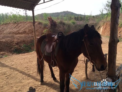 ÒÊˮѩɽ²Êºç¹ÈÂÃÓι¥ÂÔ