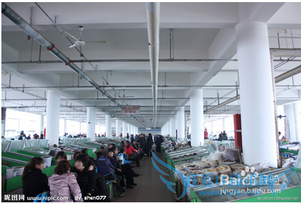 药都安国的旅游景点概述和旅游路径介绍