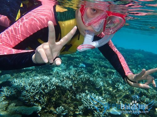 马尔代夫旅行需带装备