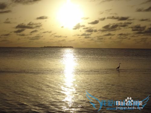 马尔代夫旅行需带装备