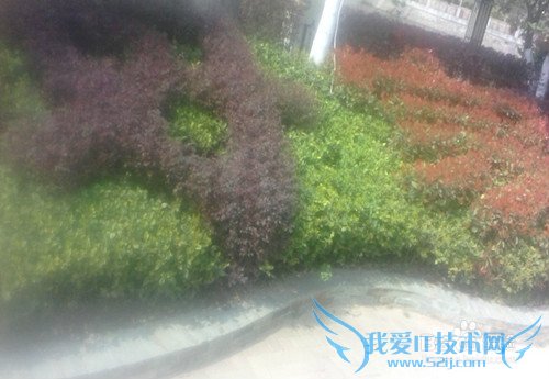 ���������εı�֤����