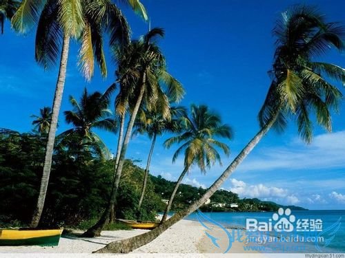 适合冬季旅游的地方推荐