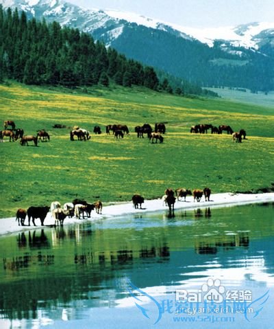 适合冬季旅游的地方推荐