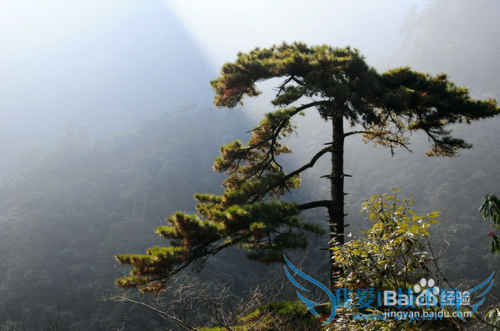 安徽黄山旅游全攻略