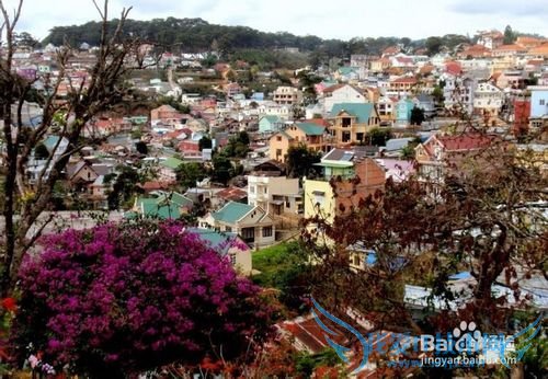 适合情侣浪漫旅行 消费不高的国家 瑶亚岛&大叻