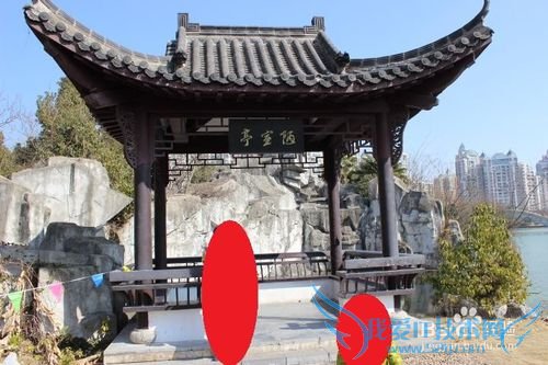 假期自驾旅游之安徽合肥徽园