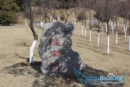 假期自驾旅游之安徽合肥徽园