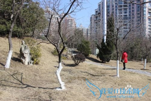 假期自驾旅游之安徽合肥徽园