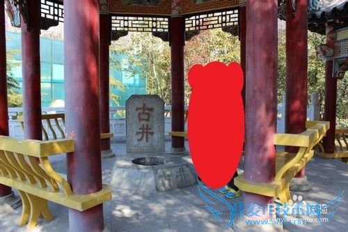 假期自驾旅游之安徽合肥徽园