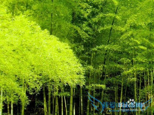 去台湾旅游的小结:是什么(实用篇)?