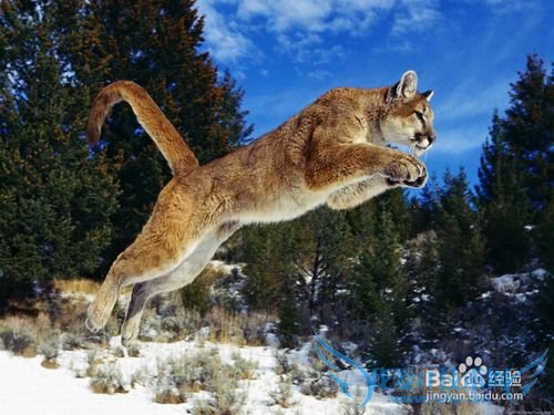 去台湾旅游的小结:是什么(实用篇)?