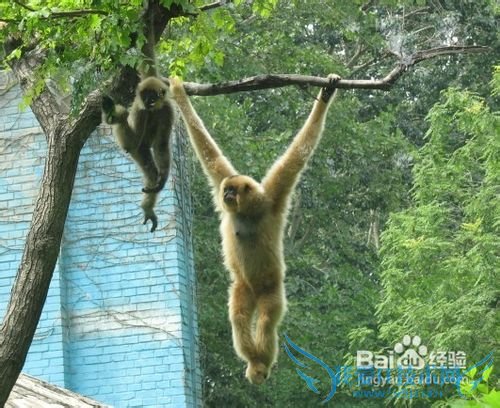 ÎÞÎýµ½±±¾©ÂÃÓι¥ÂÔ