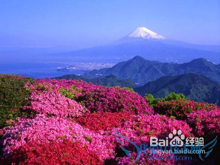 北京到日本旅游攻略