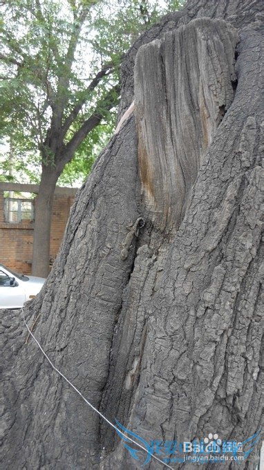 天津旅游指南(1)