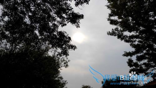 天津旅游指南(1)