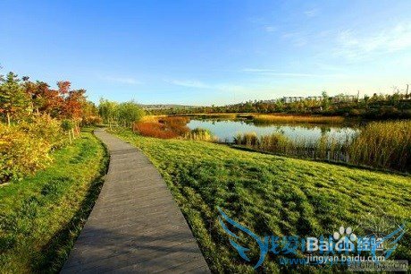 大同有什么好玩的地方— 大同旅游经验分享