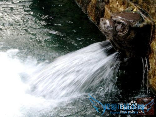 泉城一日游攻略