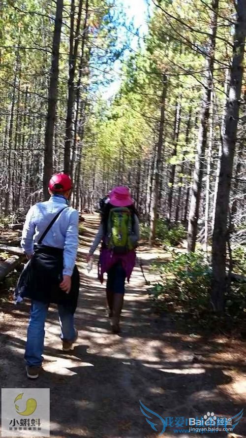 美国最地道旅游攻略1——黄石探险