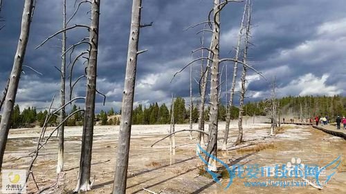 美国最地道旅游攻略1——黄石探险