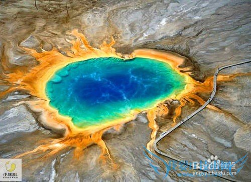 美国最地道旅游攻略1——黄石探险