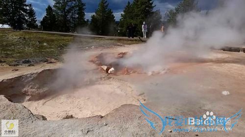 美国最地道旅游攻略1——黄石探险