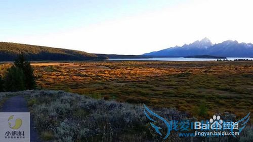 美国最地道旅游攻略1——黄石探险